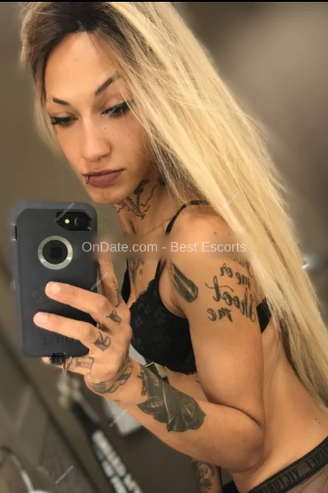 Profile picture